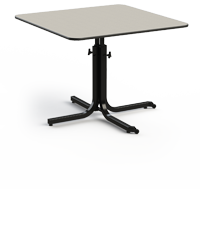 The TITAN Adjustable Table can be individually adjusted to the appropriate height required by a wheel-chair-bound patient.
